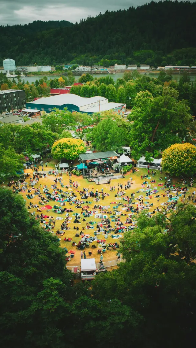 People gathered in a park for an outdoor concert